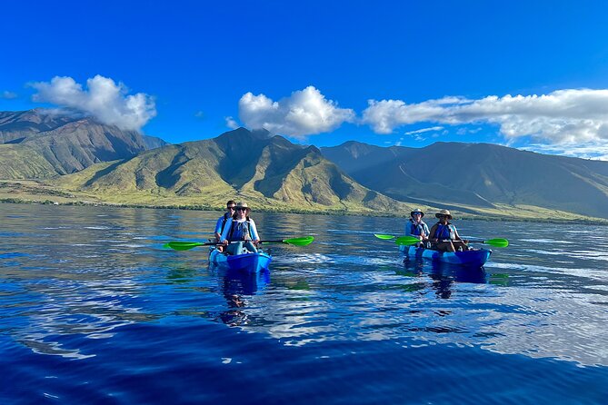 Kayak & Turtle Town Snorkel(Turtles Guaranteed) + Whale Watching - Key things to know before you go