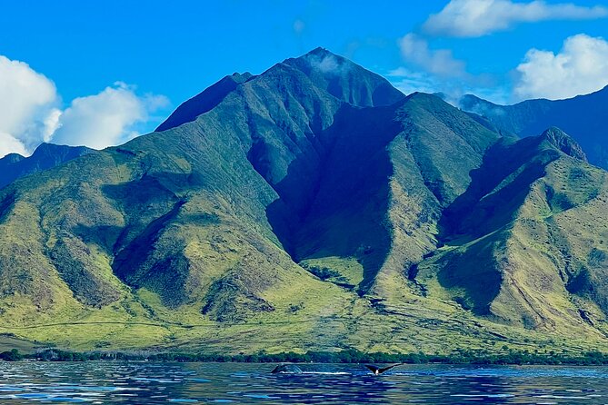 Kayak & Turtle Town Snorkel(Turtles Guaranteed) + Whale Watching - Kayaking out of Olowalu: the West Maui view, up close