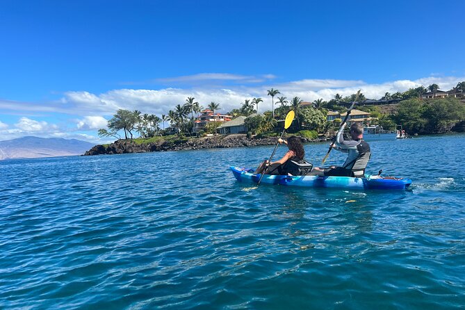 Kayak & Turtle Town Snorkel(Turtles Guaranteed) + Whale Watching - What the 3 hours really feel like (and how to prepare)