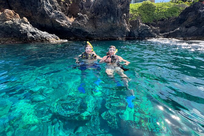 Kayak & Turtle Town Snorkel(Turtles Guaranteed) + Whale Watching - Price and value: is $119 a good deal for Maui kayak-turtle-whale time?