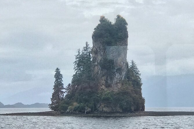 Ketchikan Whale Watching and Nature Tour - Pickup and where to meet in Ketchikan (Thomas Basin)