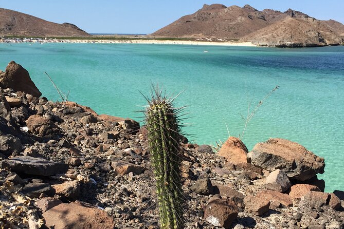 La Paz Whale Shark & Sea Lion Snorkeling + Balandra Tour - What’s included (and what to bring so it stays comfortable)