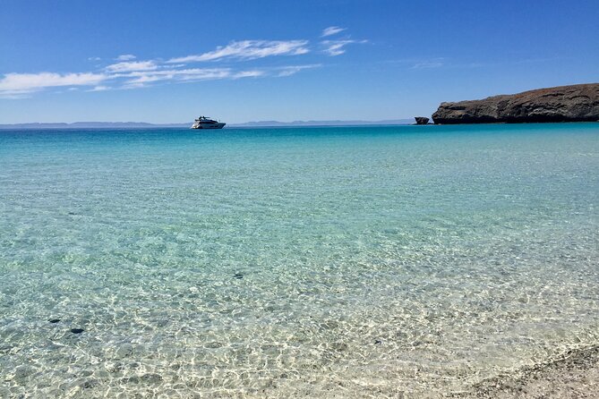 La Paz Whale Shark & Sea Lion Snorkeling + Balandra Tour - Price and value: what $250.92 buys you in real terms