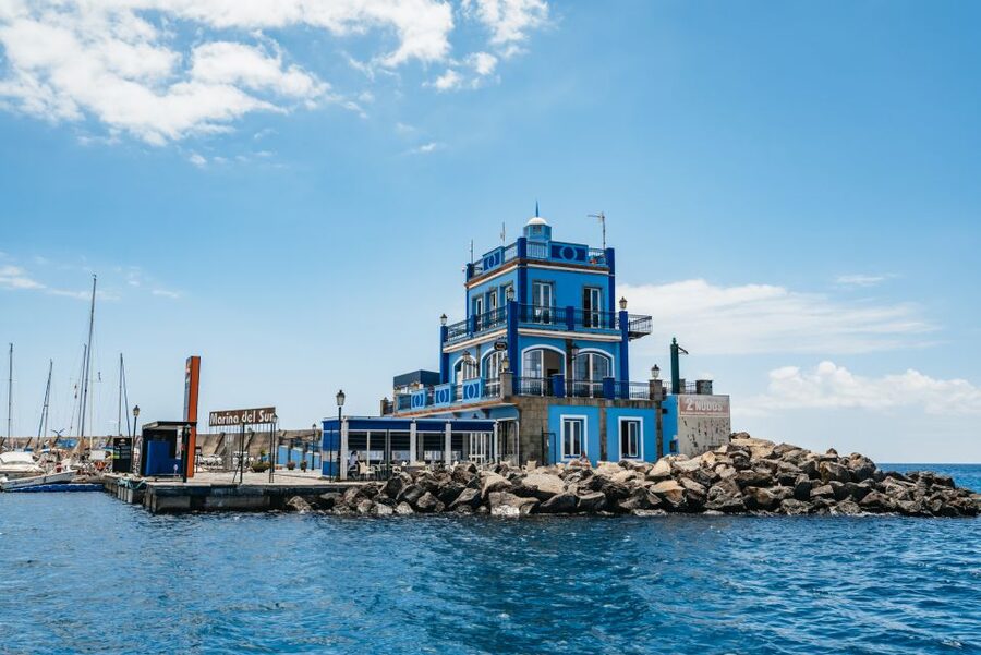 Las Galletas: Whale & Dolphin Tour with Local Skipper - Who should book, and who should skip