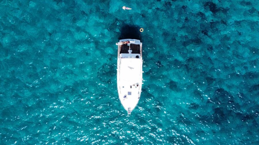 Las Galletas: Whale & Dolphin Tour with Local Skipper - When the sea is calm enough: anchored swimming and snorkeling time