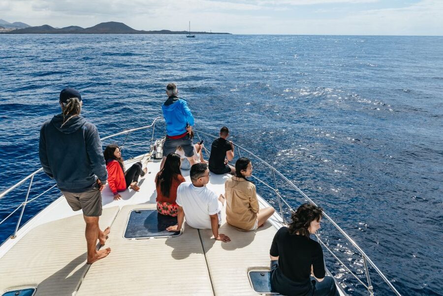 Las Galletas: Whale & Dolphin Tour with Local Skipper - The lunch on board that makes this tour feel worth $69