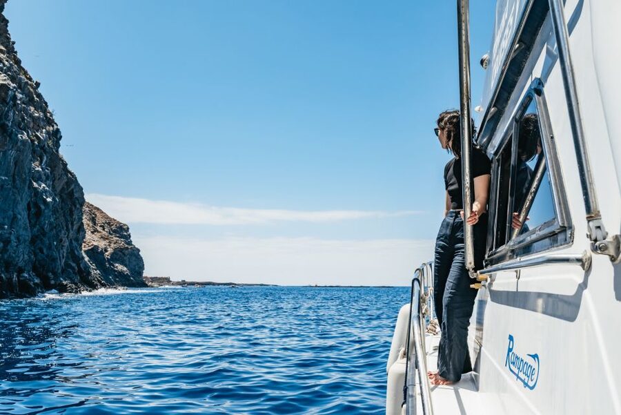 Las Galletas: Whale & Dolphin Tour with Local Skipper - The ride back along Tenerife’s coast and Punta de Rasca views