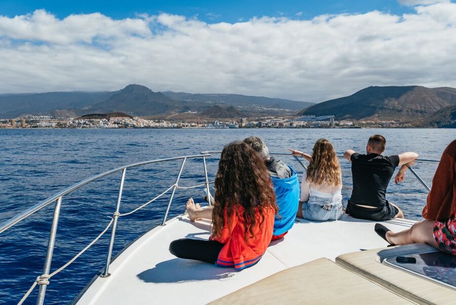 Las Galletas: Whale & Dolphin Tour with Local Skipper - Practical tips: seasickness, comfort, and what to bring