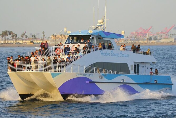 Los Angeles Whale and Dolphin Watching Cruise from West Harbor - Motion sickness and timing: how to stay comfortable when the sea gets rough