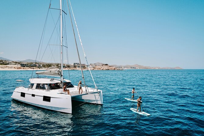 Los Cabos Seasonal Whale Watch and Snorkel Tour - Key Takeaways Before You Go