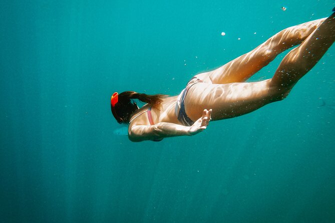 Los Cabos Seasonal Whale Watch and Snorkel Tour - Why Whale Season and Snorkel Time Work So Well Together