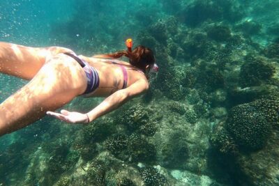 Los Cabos Seasonal Whale Watch and Snorkel Tour - The Small Catamaran Advantage (And What That Means for You)