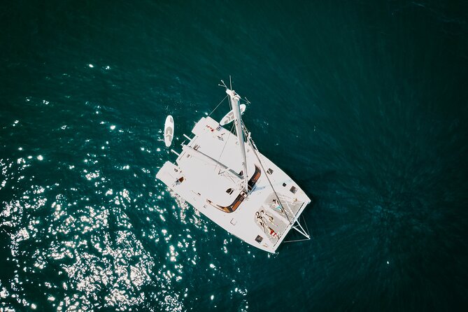 Los Cabos Seasonal Whale Watch and Snorkel Tour - Price and Value: Is $239 Worth It?