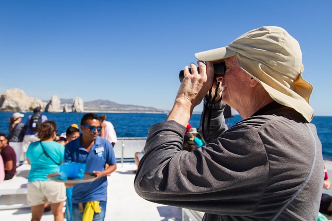 Los Cabos Whale Watching Cruise Including Breakfast - Gray Whales and Humpbacks: What the Marine Biologist Covers