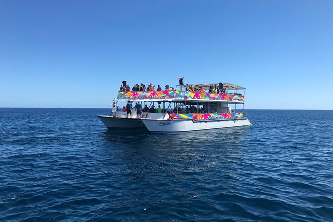 Los Cabos Whale Watching Cruise Including Breakfast - Breakfast Buffet That Actually Fills You Up