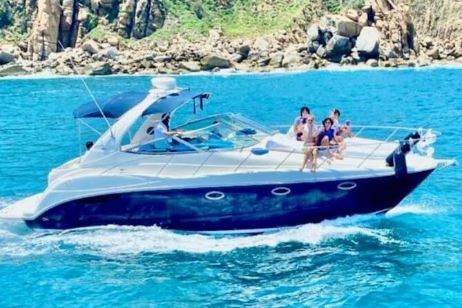 Los Cabos Whale Watching & Snorkel Adventure with Food & Drinks - Who this trip is best for (and who should skip it)