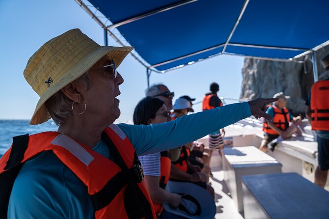 Los Cabos Whale Watching (Transportation and Pictures Included) - Gulf of California Whale Time: Two Hours of Respectful Watching