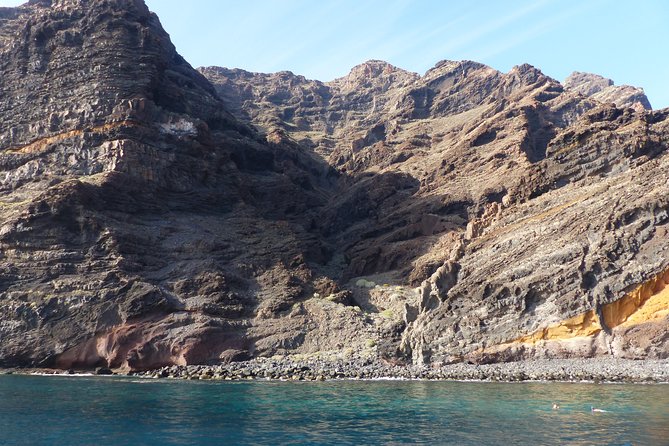 Los Gigantes Whale Watching Charter by Sail Boat - Snorkeling by the Cliffs: The Spot, the Timing, and What to Bring