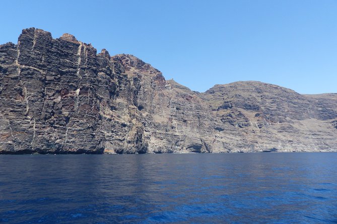 Los Gigantes Whale Watching Charter by Sail Boat - Food and Drinks Make It Worth the Price (Especially on a 3-Hour Trip)