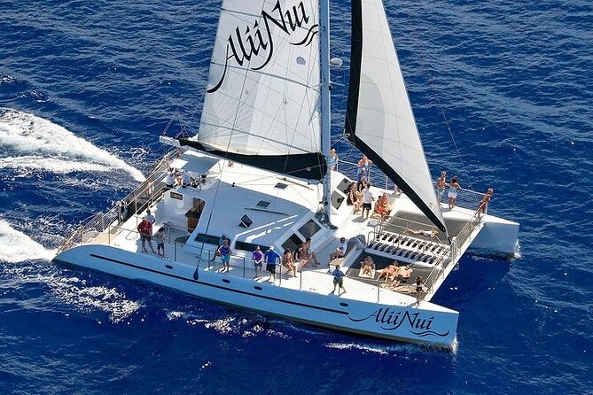 Luxury Catamaran Whale Watch - West Maui humpbacks: timing, behavior, and your odds