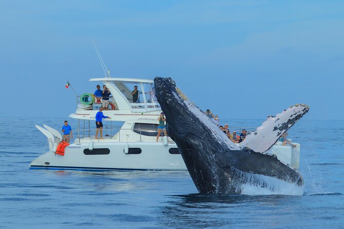 Luxury Catamaran Whale Watching Cabo San Lucas - Sea of Cortez cruise: hydrophone whale songs and the wait that pays off