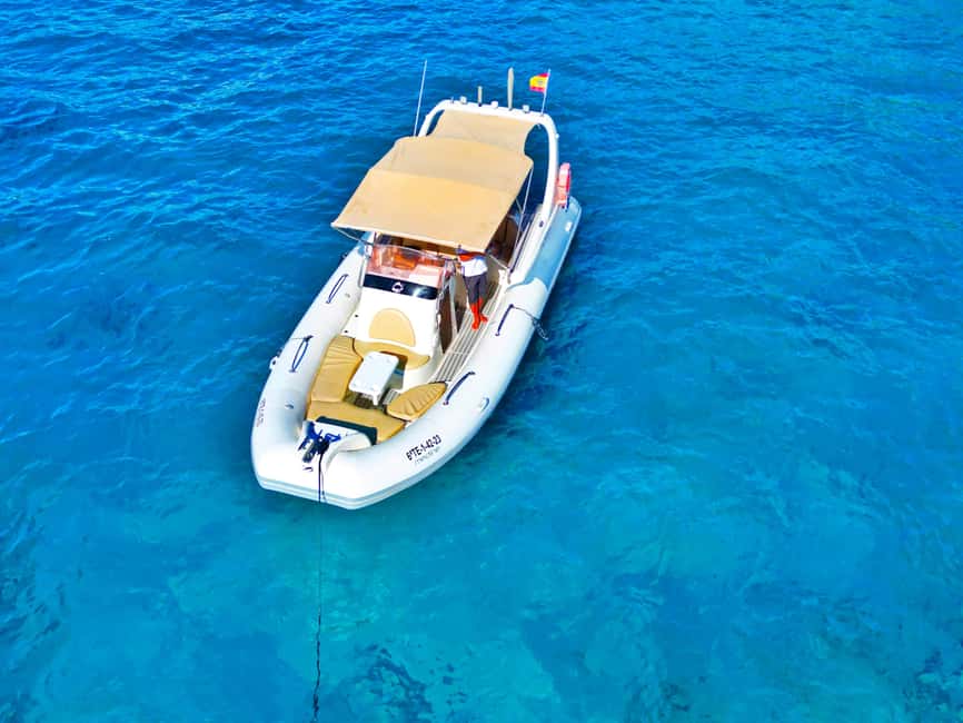 Luxury EcoMarine Safari – Whale & Dolphin Watching Adventure - The Extra 20 Minutes in Arona: Turning a Wildlife Encounter Into Real Learning
