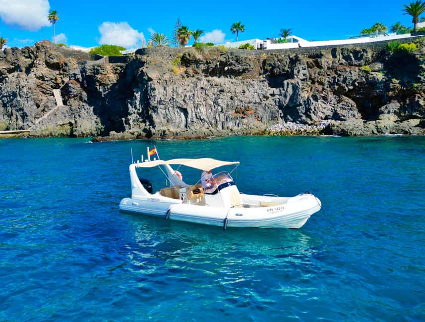 Luxury EcoMarine Safari – Whale & Dolphin Watching Adventure - Price and Value: Is $112 Worth It for a 2-Hour Safari?