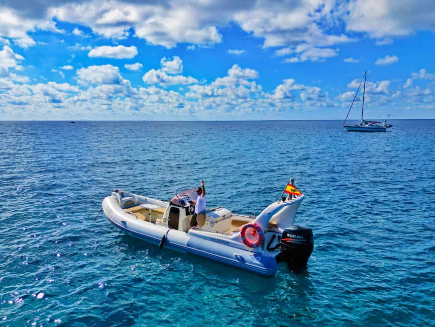 Luxury EcoMarine Safari – Whale & Dolphin Watching Adventure - Who This Trip Suits (and Who Should Skip)