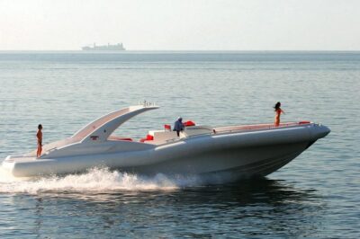 Luxury Opera 60 Whale & Dolphin Watching Experience - The whale and dolphin search: how to set expectations