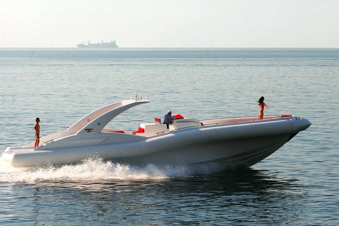 Luxury Opera 60 Whale & Dolphin Watching Experience - The whale and dolphin search: how to set expectations