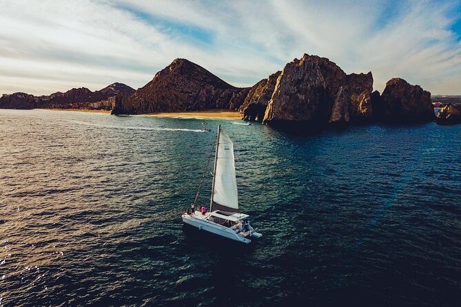 Luxury Whale Watch Cruise to The Arch Los Cabos - Open bar on a whale cruise: good value, one rule to remember