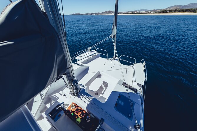 Luxury Whale Watch Cruise to The Arch Los Cabos - Price and logistics: what you really pay for