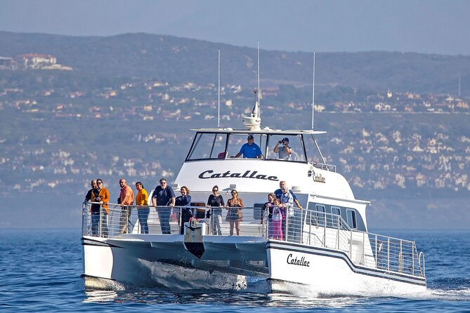 Luxury Whale Watching: Fewer People, Extra Speed, Expert Staff - Key things I’d bank on before you go