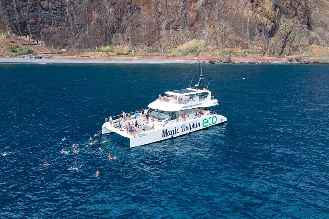 Madeira Dolphin and Whale Watching on a Ecological Catamaran - Why the Spotter-Driven Catamaran Is So Good for Dolphin Viewing