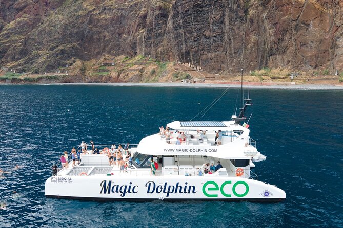Madeira Dolphin and Whale Watching on a Ecological Catamaran - The 3-Hour Schedule From Funchal: Smooth Sailing vs. Sea Spray
