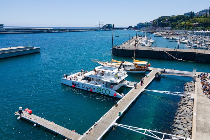 Madeira Dolphin and Whale Watching on a Ecological Catamaran - Comfort and Safety: What the Boat Feels Like in Real Conditions