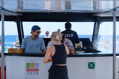 Madeira Dolphin and Whale Watching on a Ecological Catamaran - Cabo Girão and Câmara de Lobos: The Coastline Bonus on the Way Back