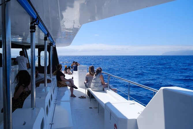Madeira Dolphin and Whale Watching on a Ecological Catamaran - Book It or Skip It? My Take for a Smart Day in Madeira