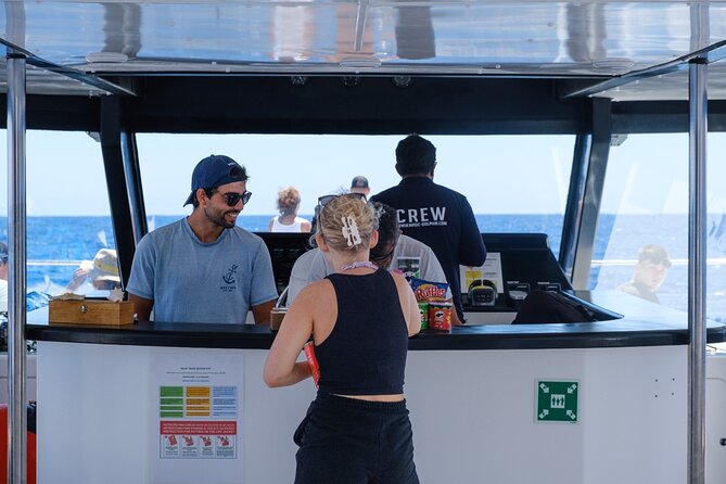 Madeira Dolphin and Whale Watching on a Ecological Catamaran - Cabo Girão and Câmara de Lobos: The Coastline Bonus on the Way Back