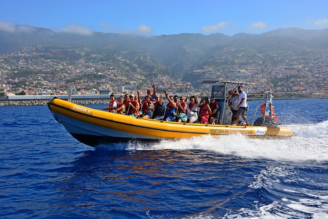 Madeira Dolphin & Whale Watching Tour - Key points before you go