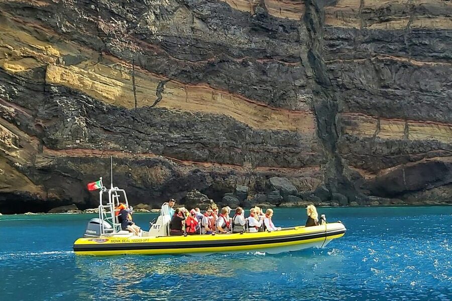 Madeira: Whale and Dolphin Watching Tour - Marine Biologist Guide Commentary: Facts That Help You Spot Faster