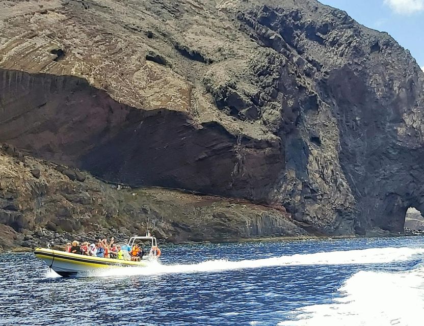 Madeira: Whale and Dolphin Watching Tour - Endemic Seabirds and the Coastline Rocks: More Than Just Whales