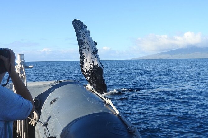 Maui Eco-Raft Tour: Eye-Level Whale or Dolphin Watching - Lahaina - Comfort and gear: sunscreen rules and getting pleasantly drenched