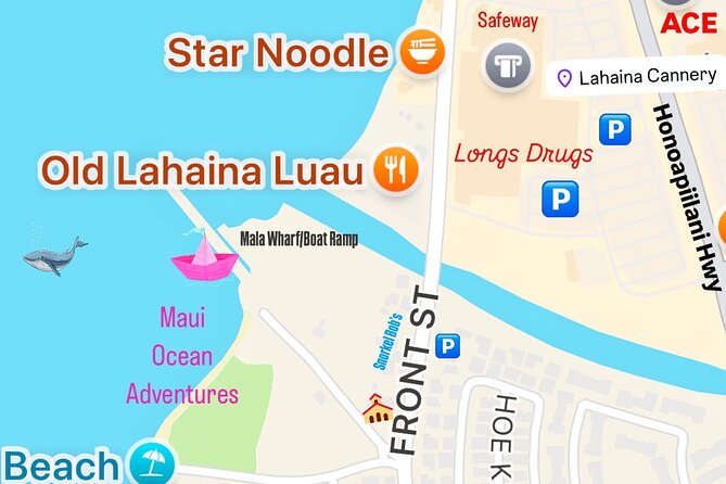 Maui Mid Day Magic Whale Watch - The Boat Experience: Speed, Comfort, and Better Whale Angles