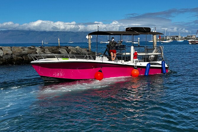 Maui Mid Day Magic Whale Watch - Safety and Respect: How Good Captains Change the Day