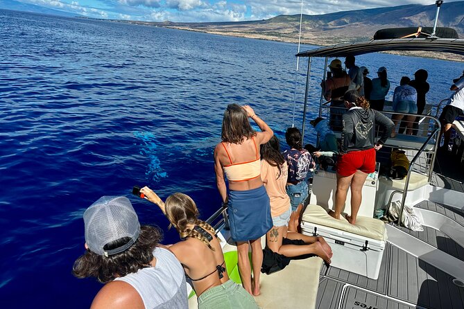 Maui Mid Day Magic Whale Watch - Why Midday Works: Light, Sightings, and Less Guesswork