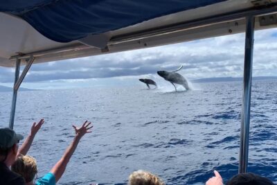 Maui: Ultimate Whale Watch from Lahaina - Hydrophone Whale Songs: More Than a Fun Gadget