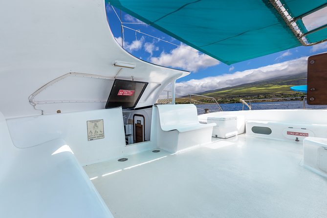 Maui: Whale Watching Cruise with Open Bar from Ka'anapali Beach - Price and Value: Is $115.85 Worth It?