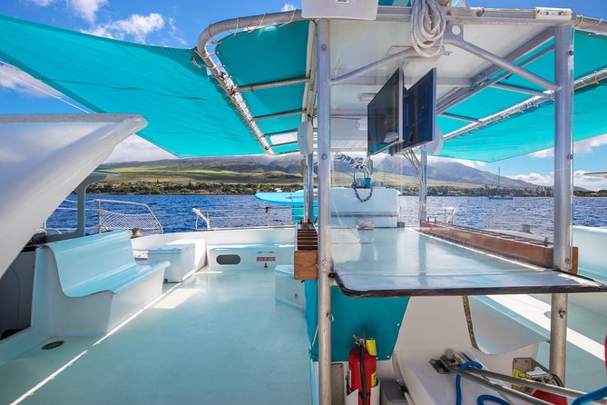 Maui: Whale Watching Cruise with Open Bar from Ka'anapali Beach - What to Watch For: The Moments That Make the Cruise Memorable