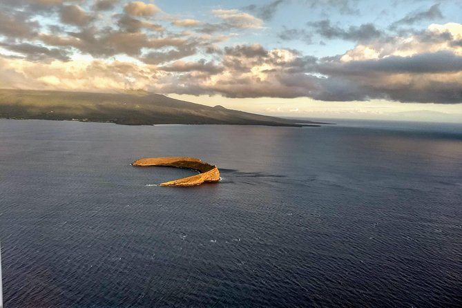 Maui Whale Watching -PRIVATE- Air Tour: (2-5 People): SEE WHALES! - Pilot Eric, headsets, and live guidance: why this isn’t just sightseeing